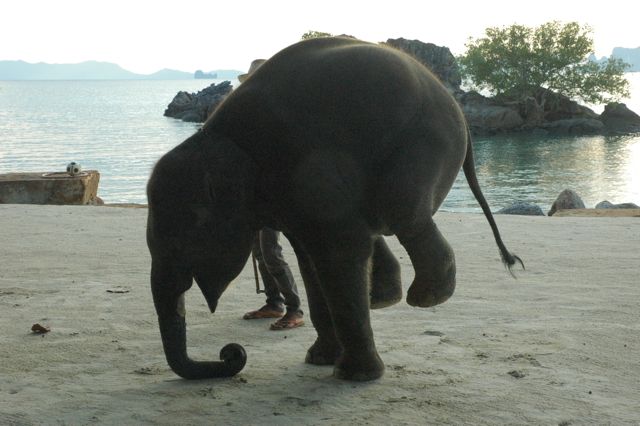 thai03?0181.jpg