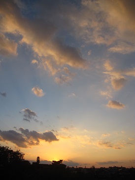 IMG_2592_1.JPG