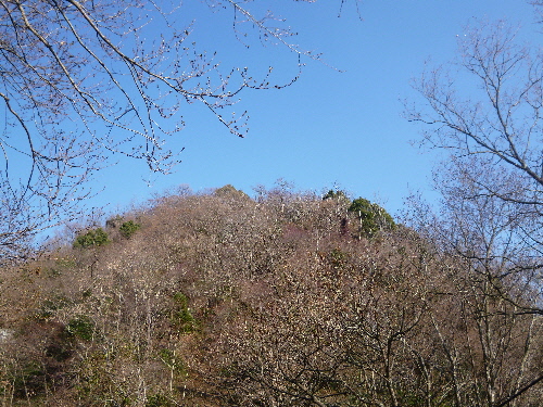 P1080531(1).JPG