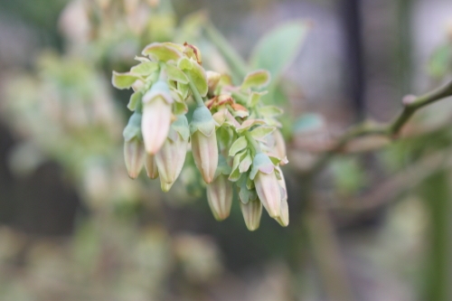 20160410019.JPG