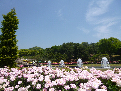 P1100698(1).JPG