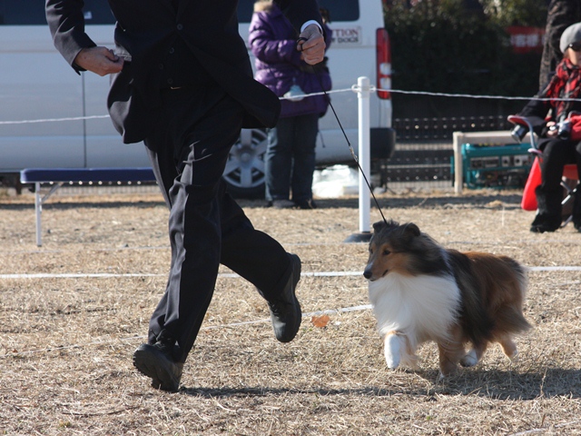 IMG_0390 - コピー.JPG