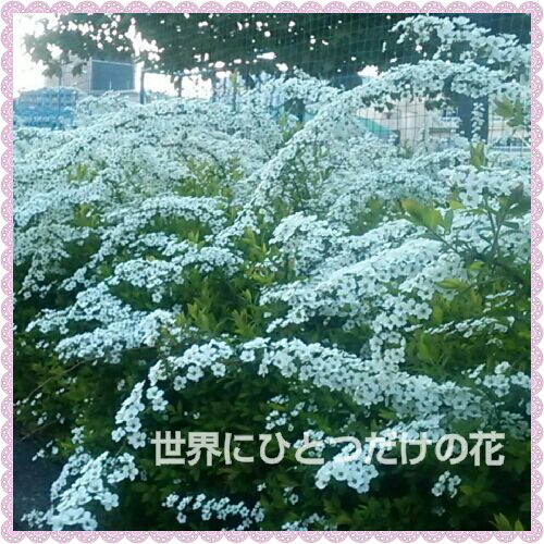 rblog-20160331222701-00.jpg