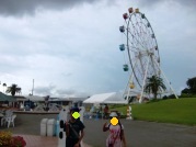 CIMG0959 - コピー.JPG