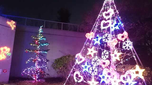 2015-12-20 17.09.41.jpg