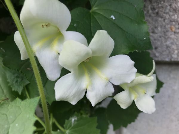 rblog-20180628172024-02.jpg