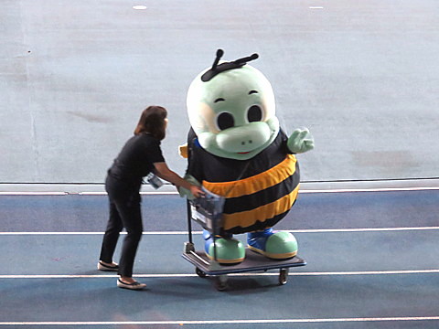 IMG_3633.jpg