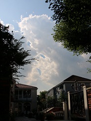 IMG_6965-13.jpg