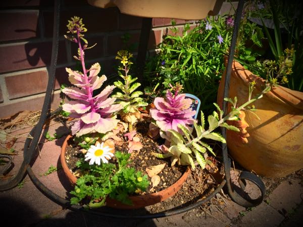 rblog-20150331195641-00.jpg