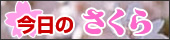 imageviewer.jpg