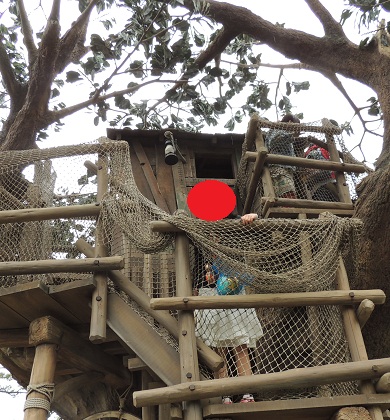 トムソーヤ島トムソーヤのツリーハウス