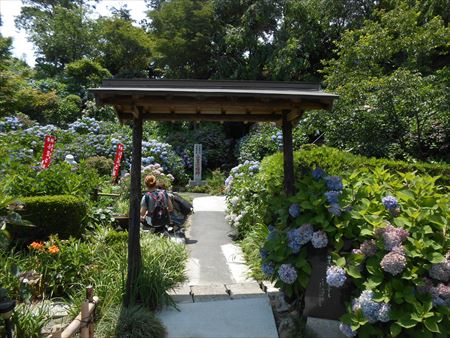 花の寺　本勝寺