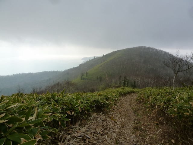 P1310695帰路11：51.jpg