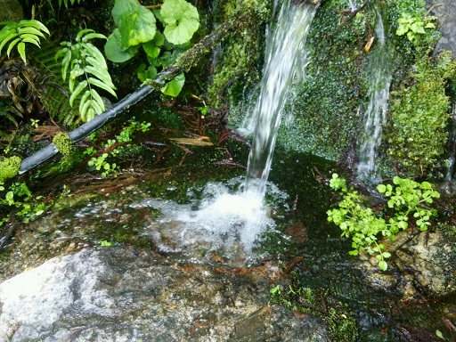 めっちゃ旨い水！