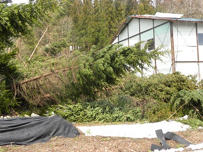 DSCN8099.jpg