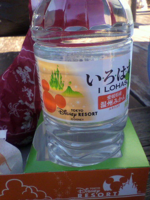 P1000829.jpg