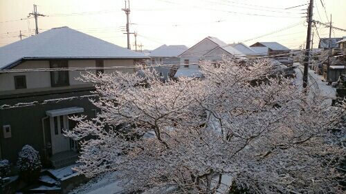 rblog-20170121204504-01.jpg