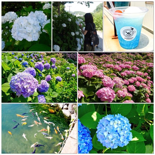 rblog-20170820193658-02.jpg