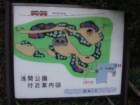 DSC03581.JPG