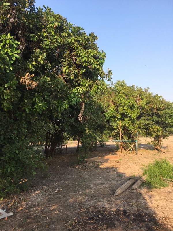 rblog-20190320212649-01.jpg