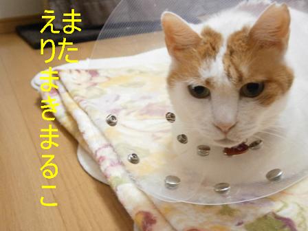 maru