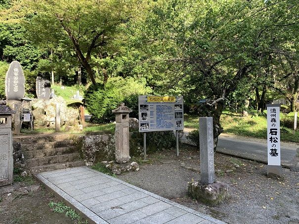 森の石松 モグタン 楽天ブログ