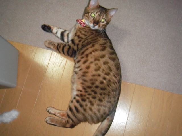 2016_03020038.JPG