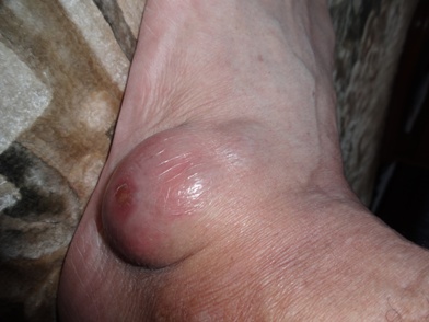 DSC01603.jpg