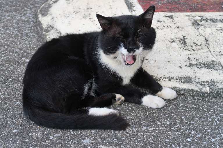 昼ビー モンテーニュ 梅林庵 楽天ブログ 昼ビー モンテーニュ 梅林庵 楽天ブログ