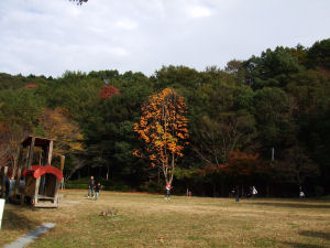 全容1