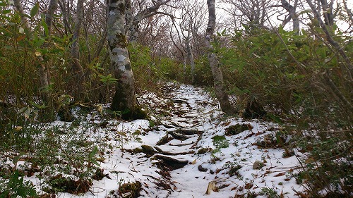 20141029北泉ヶ岳3雪上ハイクに！.jpg