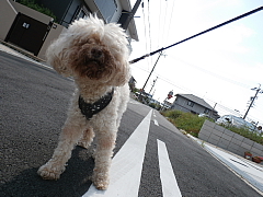 conv0670.JPG