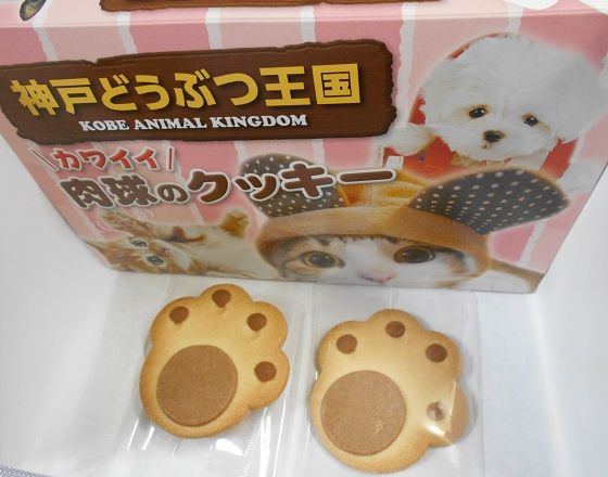 神戸どうぶつ王国 神戸から 楽天ブログ