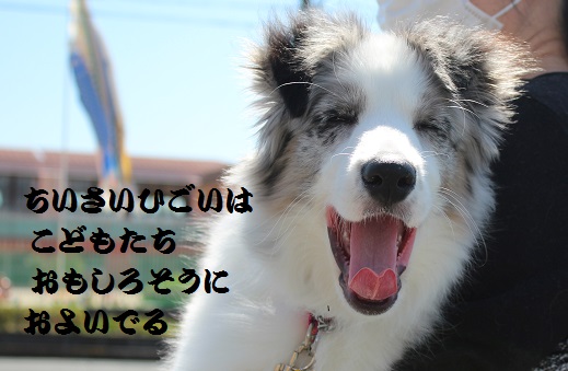 およいでる