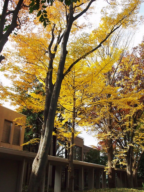 s-p2819.jpg