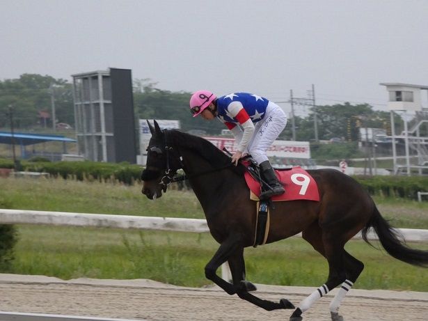 2017ヤングジョッキーズシリーズ トライアルラウンド笠松 | 地方競馬の