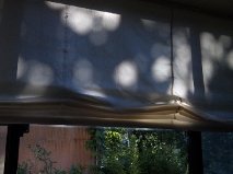 夏の陽射し　8.10.jpg