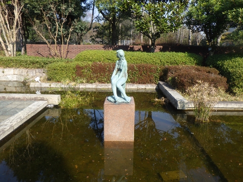 大阪市立自然史博物館2017年1月下旬3　澪（みお）