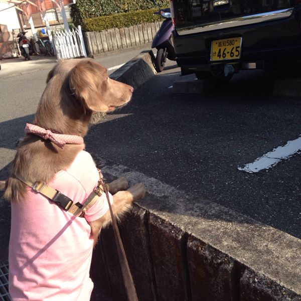 rblog-20140226213154-01.jpg