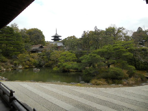 2016-4　仁和寺北庭から見る五重塔.jpg