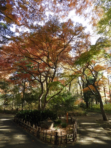 井の頭自然文化園