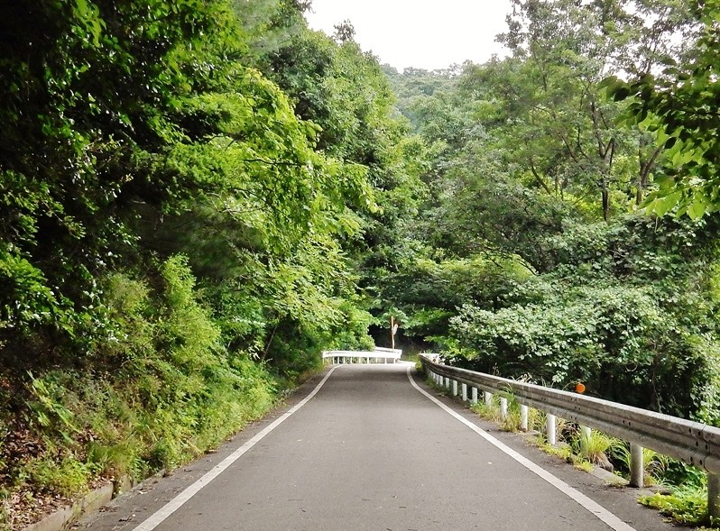 遊歩道.JPG