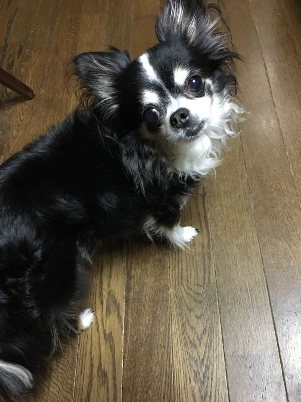 rblog-20180429210616-03.jpg