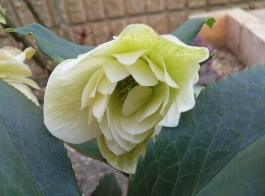rblog-20140413204328-02.jpg