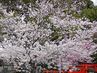 P1280075ss.jpg