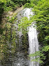 IMG_4390.JPG