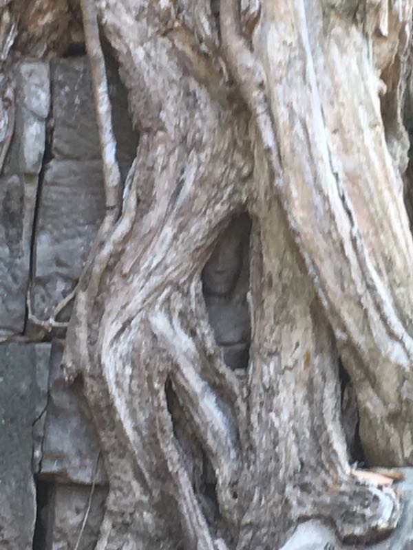rblog-20190305175156-01.jpg