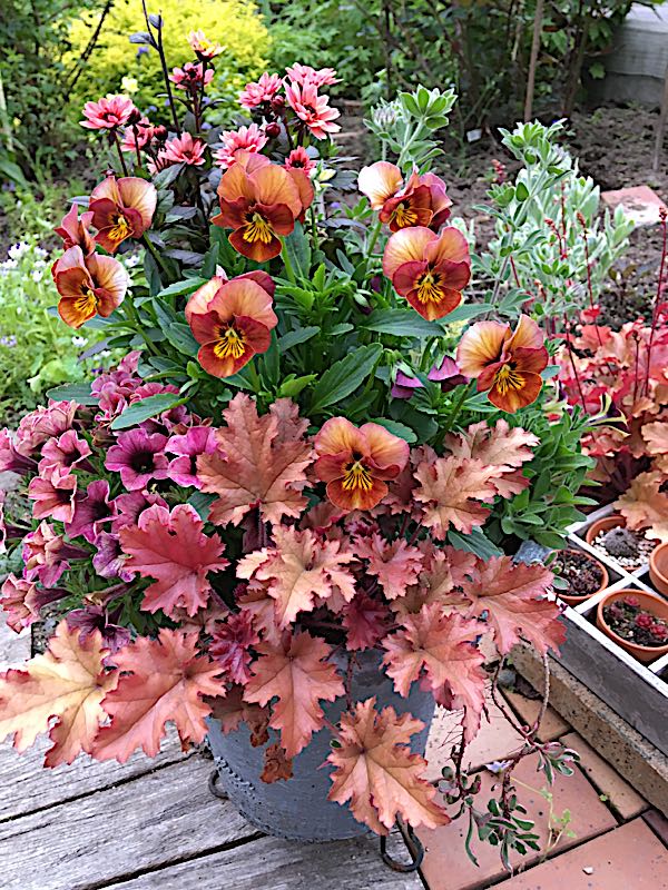 rblog-20170626174955-01.jpg