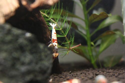20141111b.JPG