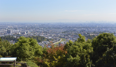 甲山17